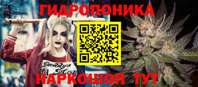 круглые Будённовск
