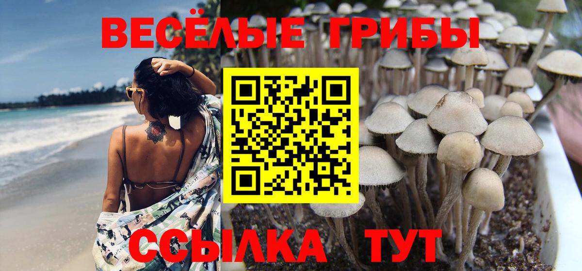 Галлюциногенные грибы Cubensis  Вход с VPN  цены   Бирск 